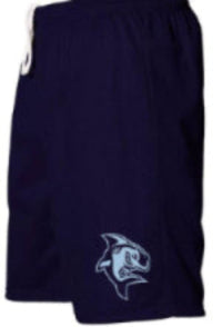 Adrien Block Navy Athletic Shorts
